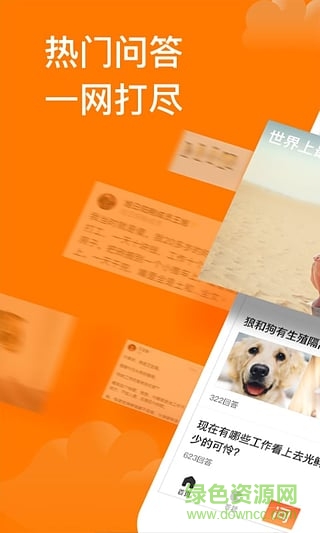 悟空問答ios