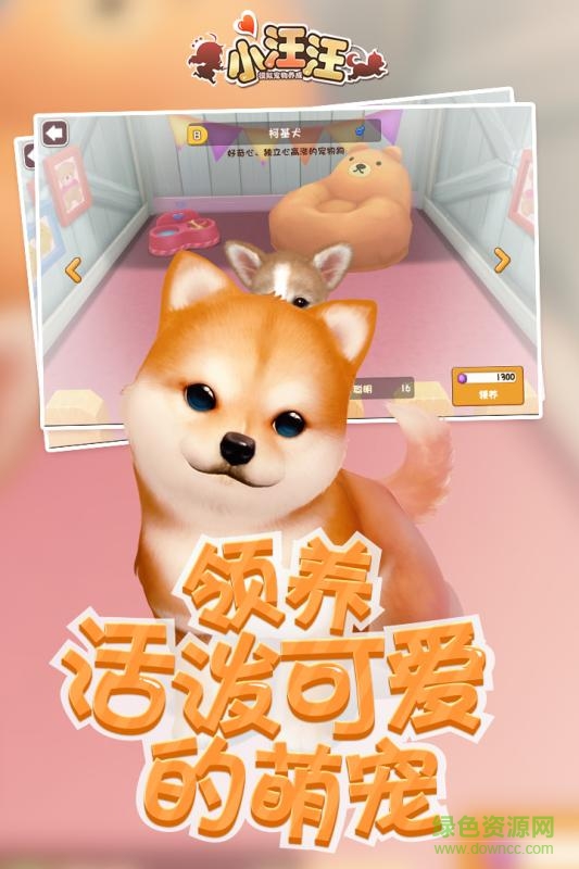 小汪汪九游版