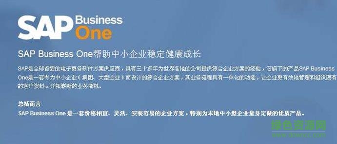 sap business one 9.1 v9.1 水晶報(bào)表版本 0
