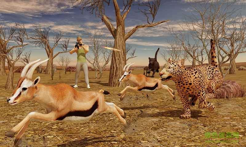 狙擊獵手野生動(dòng)物園游戲 v1.0.1 安卓版 2