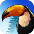 鳥的天堂Birdstopia