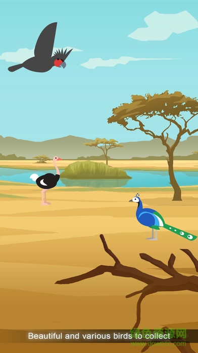 鳥的天堂Birdstopia v1.2.9 安卓版 3