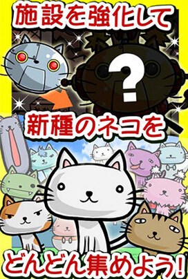貓?zhí)镂镎Z內(nèi)購 v1.0 安卓無限鉆石金幣中文版 0