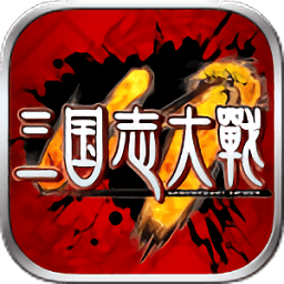 三國(guó)志大戰(zhàn)九游版