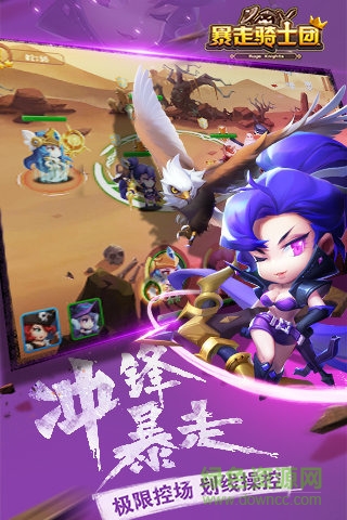 暴走騎士團(tuán)九游版 v1.1.5 安卓版 3