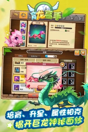 育龍高手九游新版0