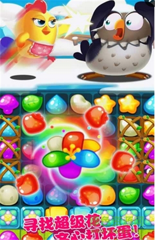 小雞爆破3內購(Chicken Splash 3) v2.0 安卓免費版 1