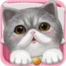 心動小貓內(nèi)購正式版