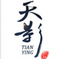 百度版天影