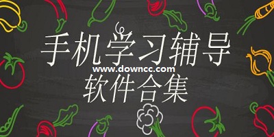 輔導(dǎo)軟件