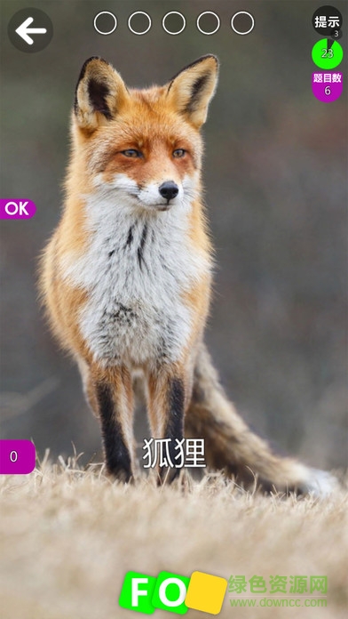 德予miboo英語(yǔ) v1.6 安卓版 2