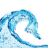 龍卷風(fēng)視頻監(jiān)視軟件