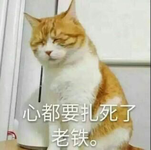 扎心流血了老鐵表情包