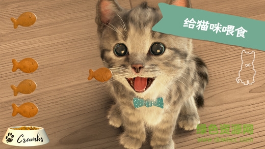 Little-Kitten我最喜愛(ài)的貓貓游戲 v1.1.9 安卓版 1