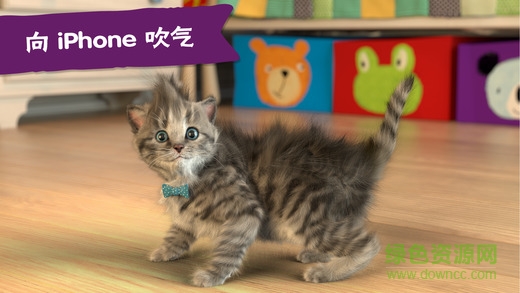我最喜愛(ài)的貓貓游戲