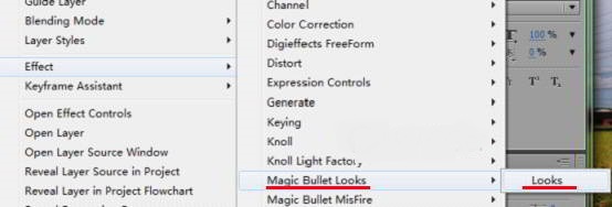Magic Bullet Looks