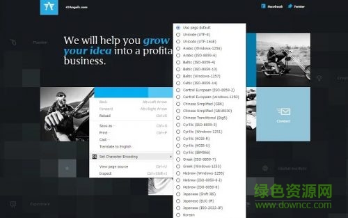 新版chrome瀏覽器字體編碼插件 v0.3.0 官網(wǎng)版 0