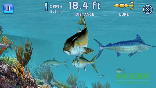 垂釣之王高清版(Fishing Kings) v3.3.6 安卓版 3