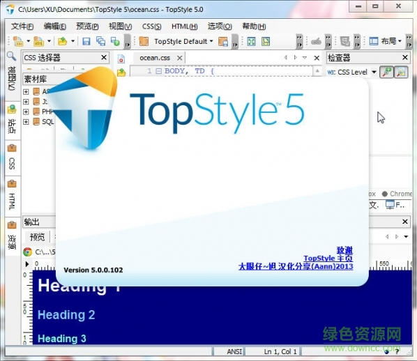 TopStyle Pro(css設(shè)計(jì)工具) v2017 綠色便攜版 0