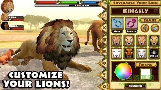 終極獅王模擬器無(wú)限血量(UltimateLion) v1.0 安卓中文版 2