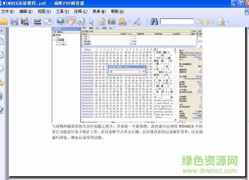 WINHEX高級(jí)教程 pdf格式 0