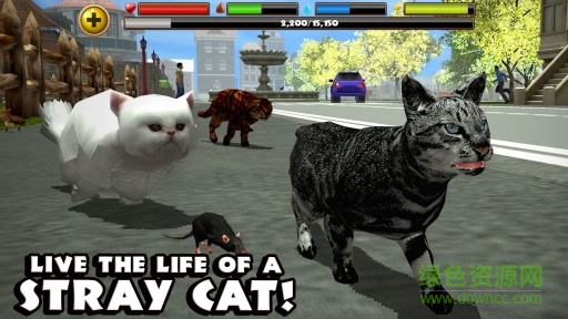 流浪貓模擬器(StrayCatSim) v1.0 安卓版 0