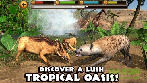 終極鬣狗模擬器無限血(HyenaSim) v1.0 安卓中文版 3