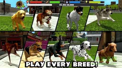 流浪狗模擬器正式版(Stray Dog Sim) v1.4 安卓版 1