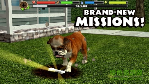 流浪狗模擬器中文版(Stray Dog Sim) v1.4 安卓版 0
