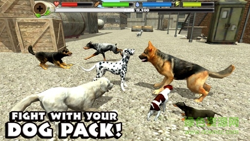 流浪狗模擬器正式版(Stray Dog Sim) v1.4 安卓版 3