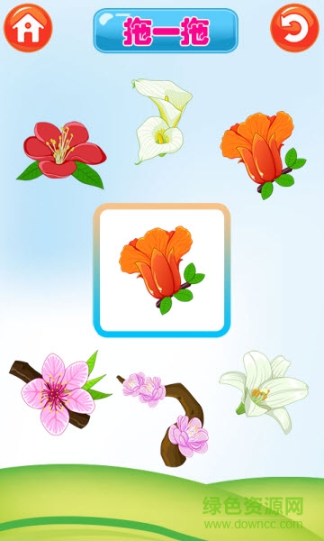 巴賓兔寶寶識植物 v6.6.0 安卓版 0