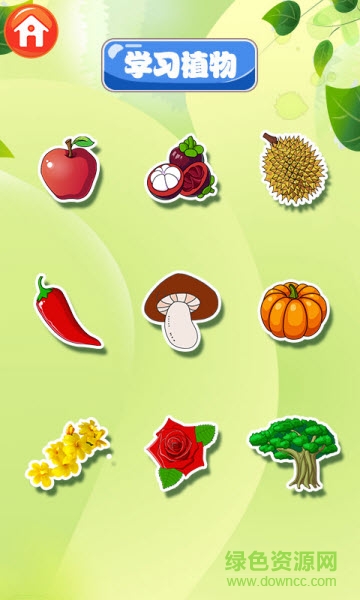 巴賓兔寶寶識植物 v6.6.0 安卓版 1