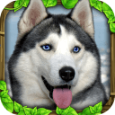 流浪狗模擬器中文版(Stray Dog Sim)