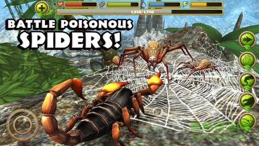 蝎子模擬器正式版(Scorpion Sim) v1.0 安卓無限生命版 1