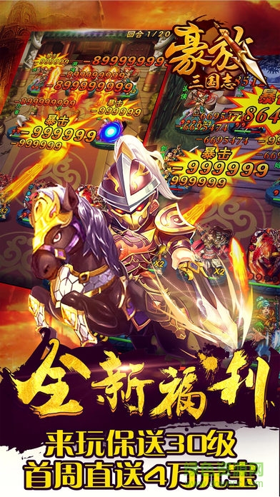 豪放三國志 v1.0 安卓版 0