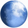 火狐瀏覽器輔助(Pale Moon)