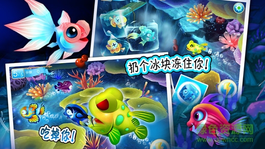 樂樂魚聚會