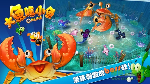 大魚吃小魚ol作弊器