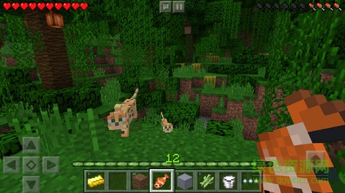我的世界移動(dòng)版(Minecraft Pocket Edition) v1.1.1.1 安卓版 2