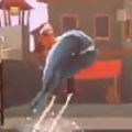鯨魚快跑(Run-A-Whale)