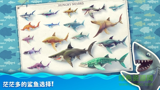 饑餓的鯊魚世界僵尸版 v4.5.9 安卓無(wú)限金幣版 1