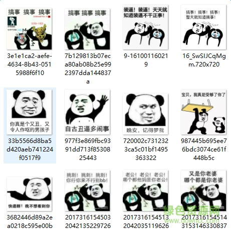 金館長(zhǎng)熊貓打人表情包 高清全套 0