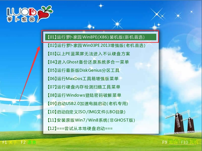 蘿卜U盤啟動盤制作軟件