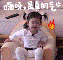 包可艾表情包