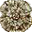imperatorfla