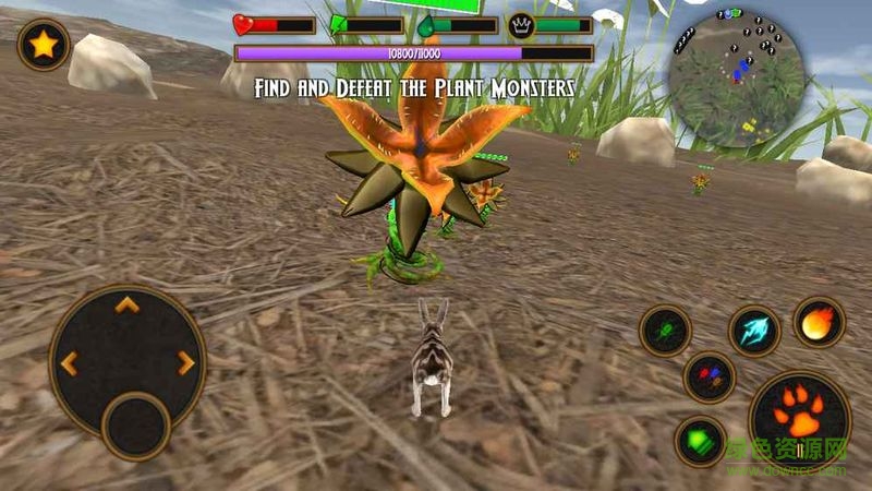 兔子模擬器(Clan of Rabbits) v1.0 安卓版 2