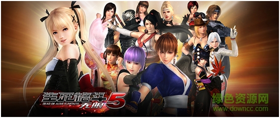 生死格斗5無限手機(jī)版 v1.1 安卓版 1