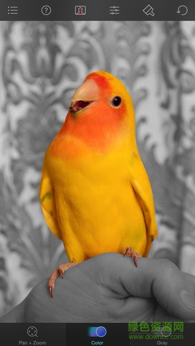 color splash photo v1.68 安卓版 3