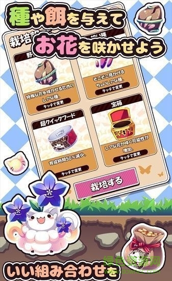 貓咪花盆中文版(ねこばち) v1.2 安卓漢化版 2