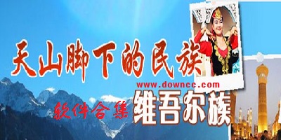 維族軟件